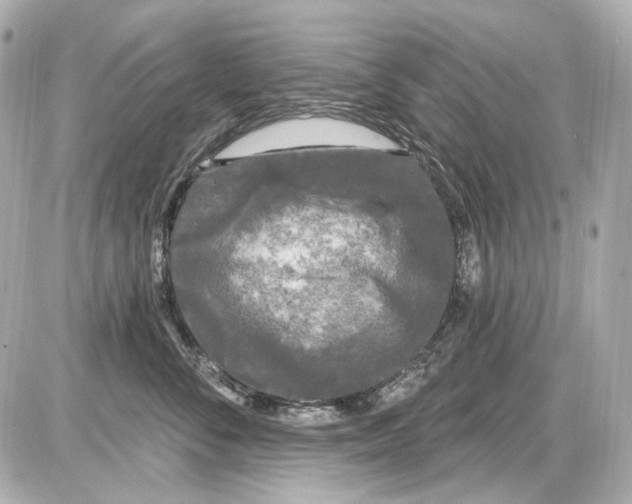 X0000085320716200704092349