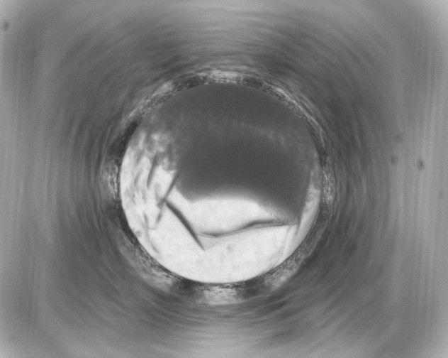 X0000085320718200704092348