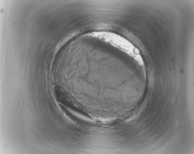X0000085320721200704092348