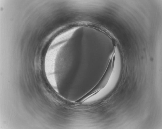 X0000085320722200704092348