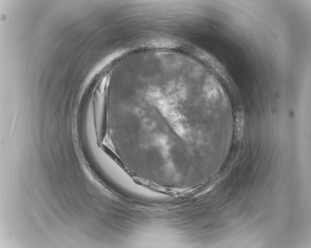 X0000085320726200704092348