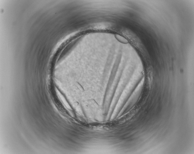 X0000085320728200704092348