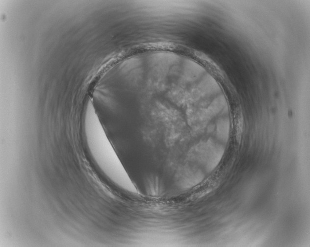 X0000085320729200704092348