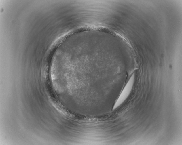 X0000085320736200704092348
