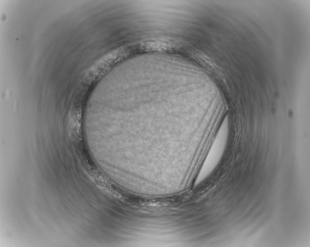 X0000085320737200704092348