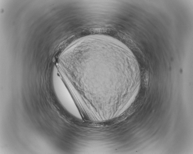 X0000085320746200704092348