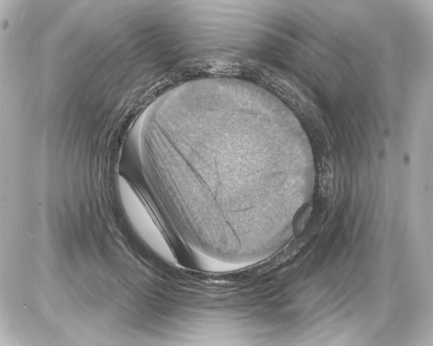 X0000085320748200704092348