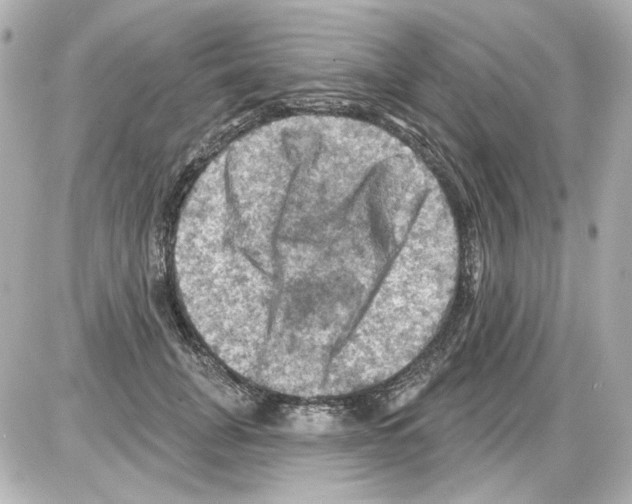 X0000085320751200704092348