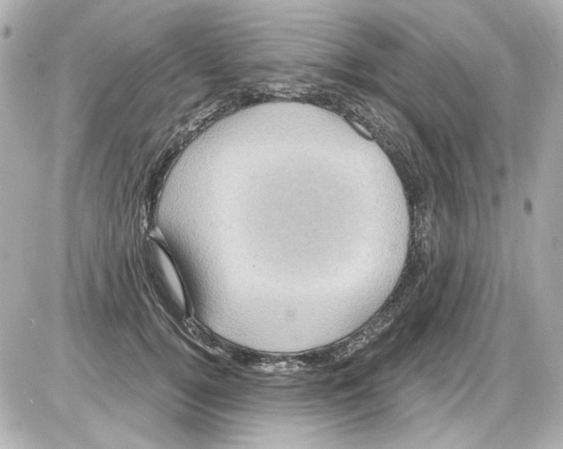 X0000085320752200704092348