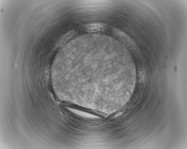 X0000085320753200704092348