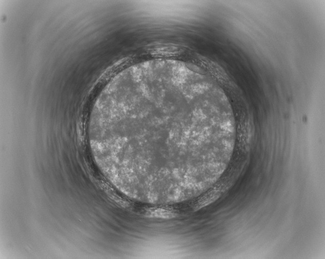 X0000085320755200704092348