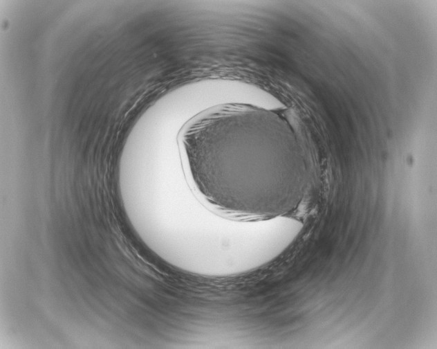 X0000085320756200704092348