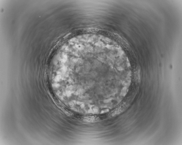 X0000085320757200704092348
