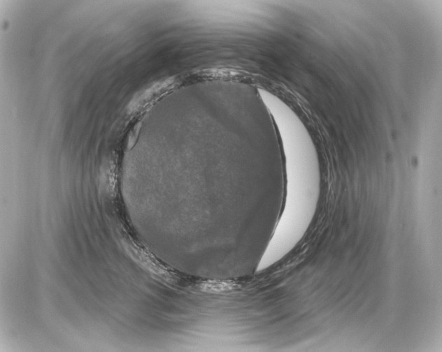 X0000085320762200704092348