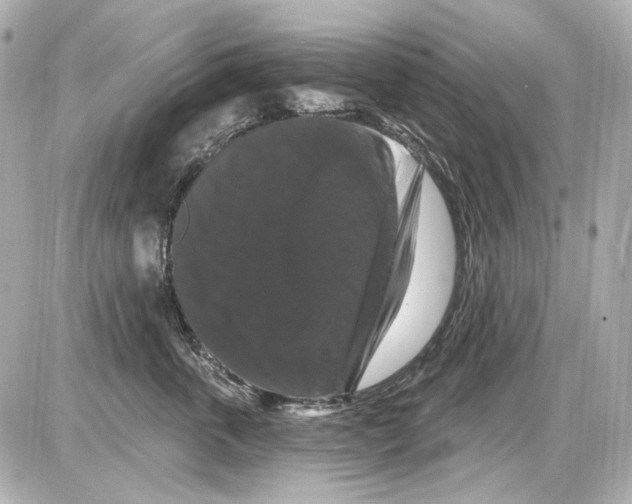 X0000085320763200704092348