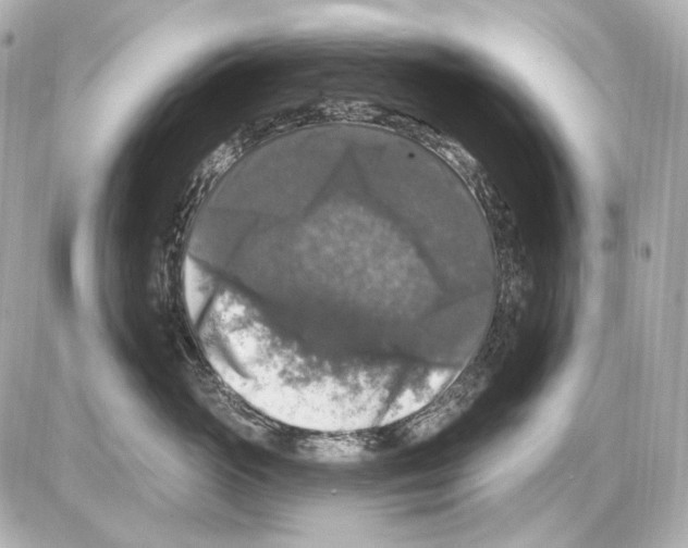 X0000085320765200704092348