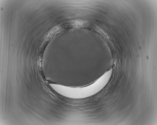 X0000085320766200704092348
