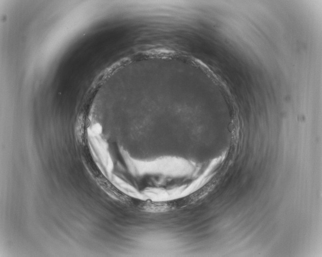 X0000085320767200704092348