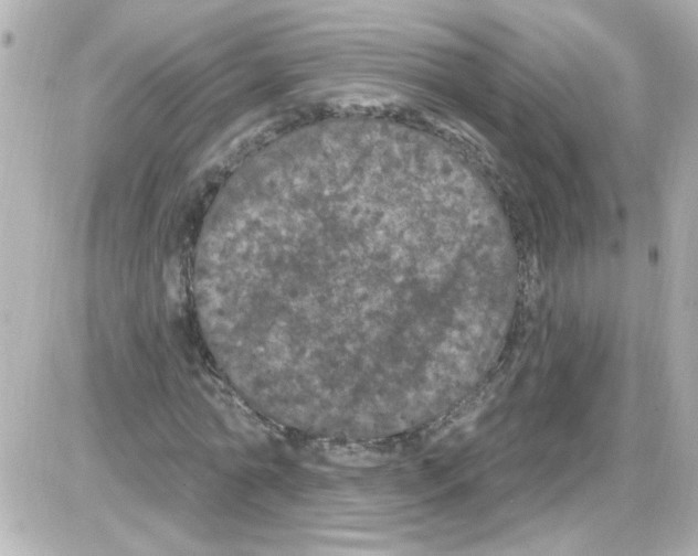 X0000085320774200704092348