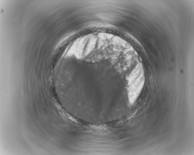 X0000085320775200704092348