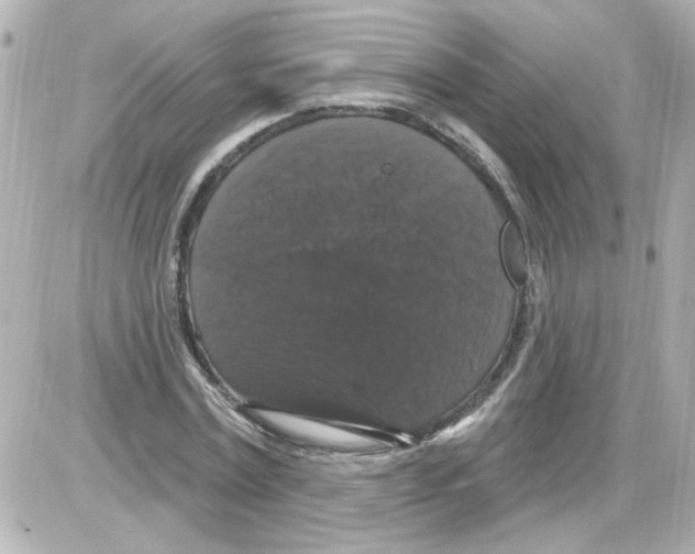 X0000085320779200704092347