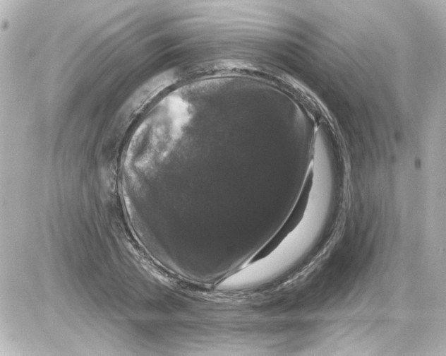 X0000085320785200704092347