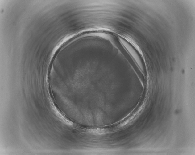 X0000085320797200704092347