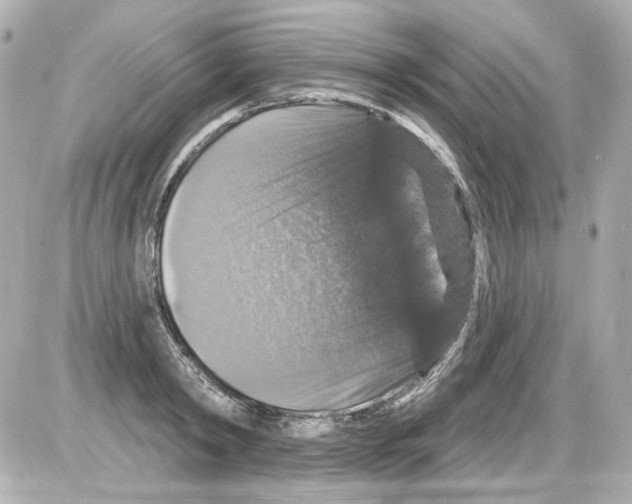 X0000085320798200704092347