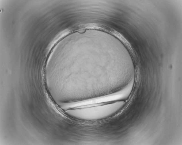 X0000085320806200704092347