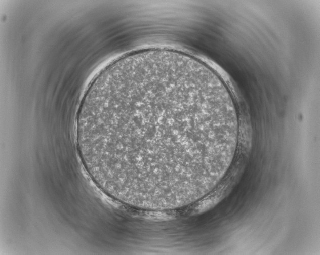 X0000085320807200704092347