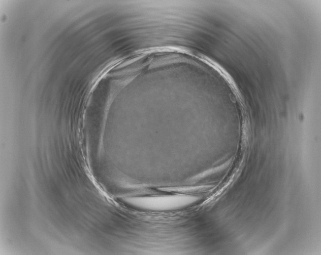 X0000085320809200704092347