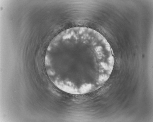 X0000085320817200704092346