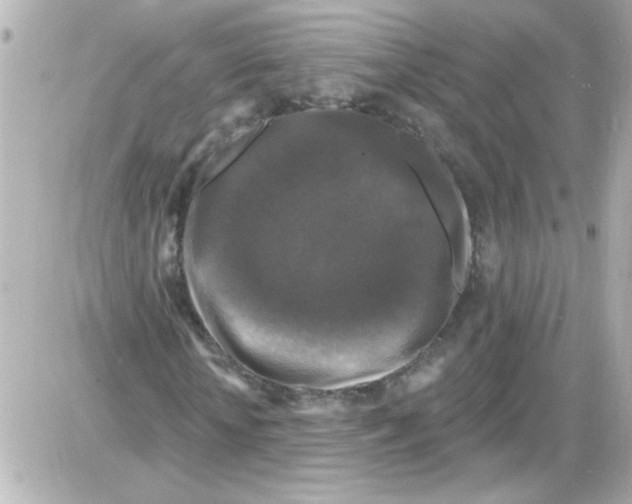 X0000085320818200704092346