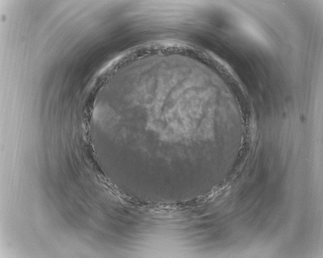 X0000085320823200704092346