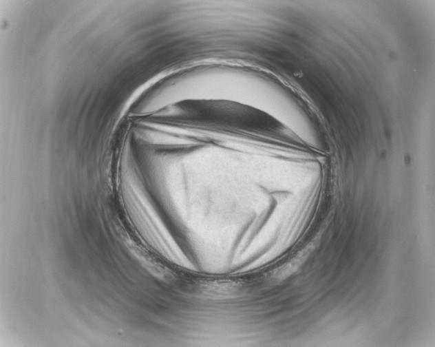 X0000085320830200704092346