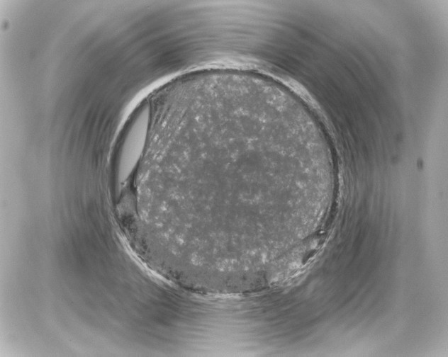 X0000085320838200704092346