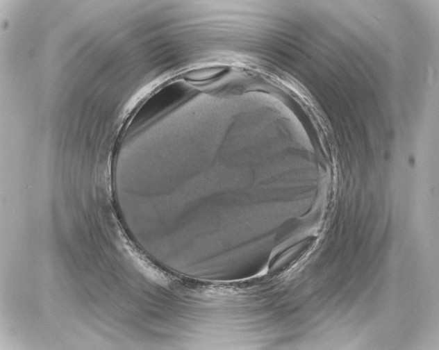 X0000085320842200704092346