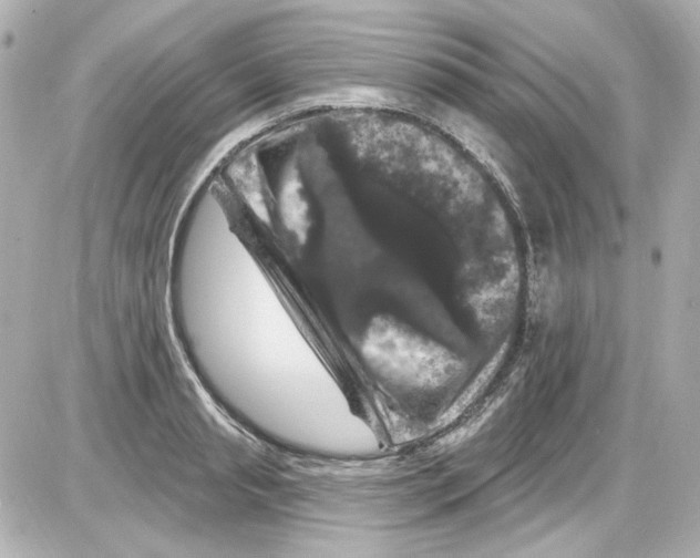 X0000085320845200704092347