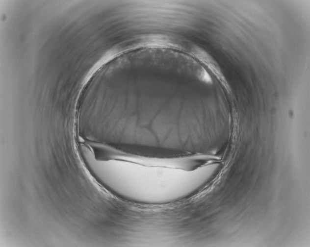 X0000085320853200704092347