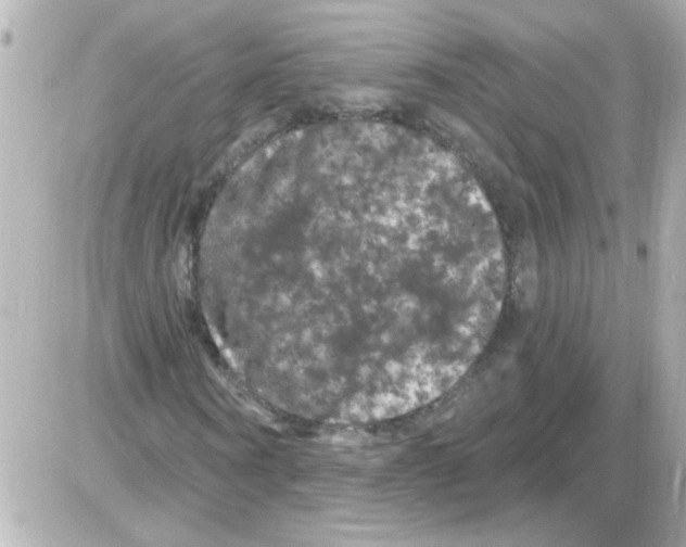 X0000085320866200704092346