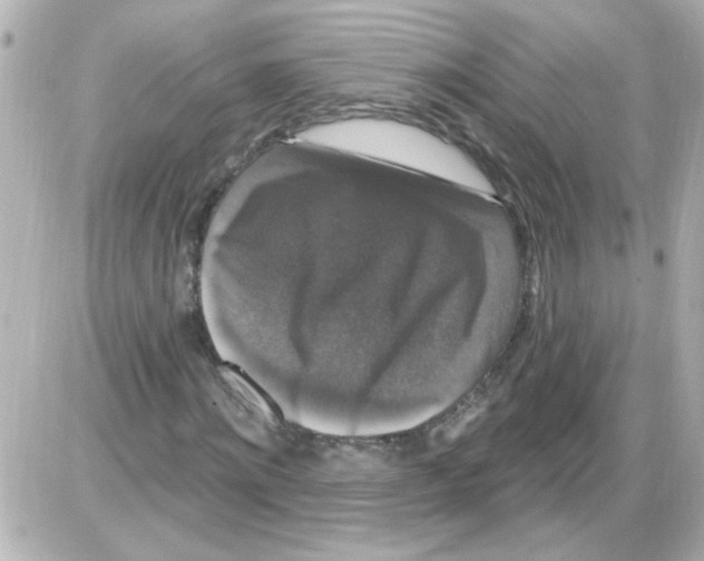 X0000085320868200704092346