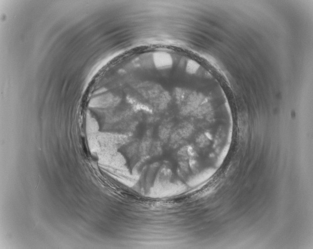 X0000085320879200704092346