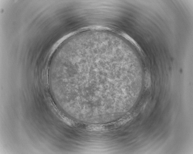 X0000085320886200704092346