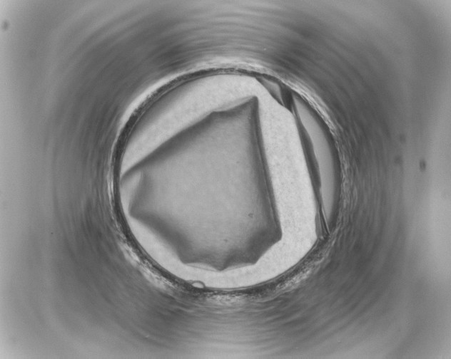 X0000085320888200704092346