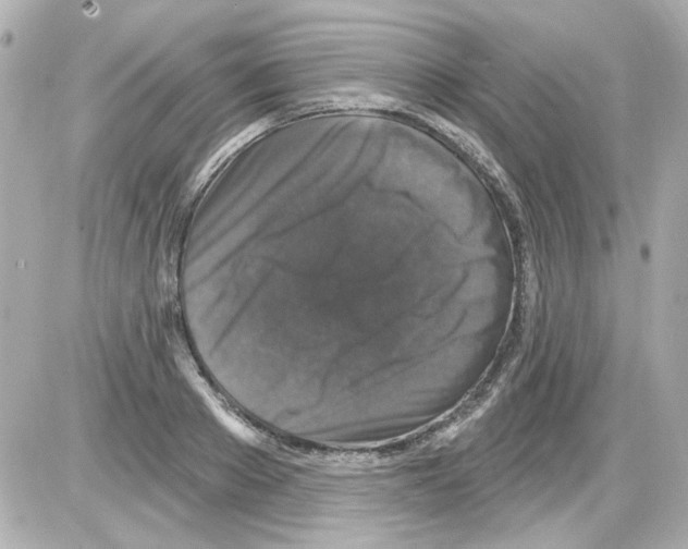 X0000085320889200704092346
