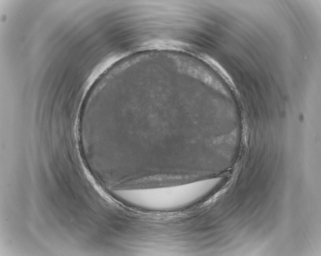 X0000085320893200704092346