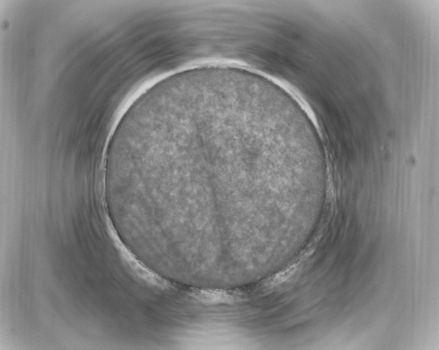 X0000085320911200704092345