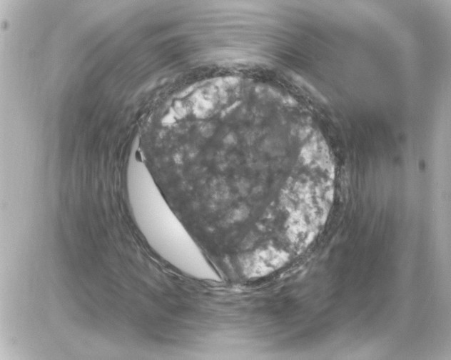 X0000085320917200704092345