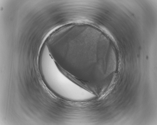 X0000085320932200704092345