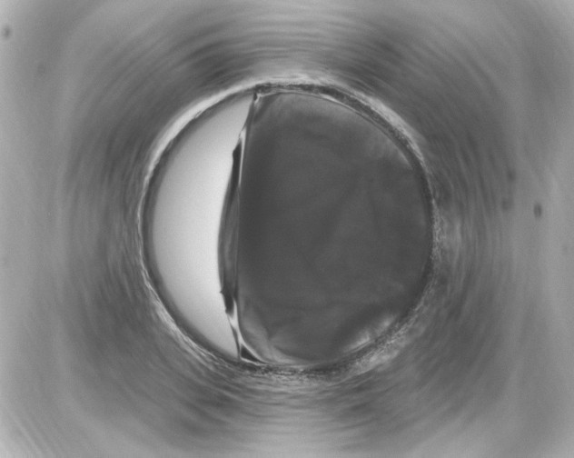 X0000085320935200704092345